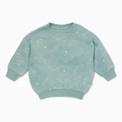 Dino Print Sweater