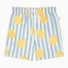 Lemon Board Shorts