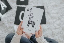 Wee Gallery Jungle Alphabet Cards 11 Wee Gallery Jungle Alphabet Cards -Baby Clothing Shop NXZKSSgw