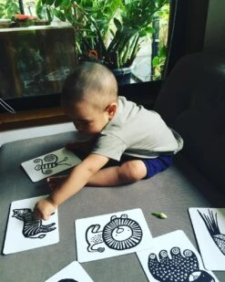 Wee Gallery Jungle Art Cards For Baby 9 Wee Gallery Jungle Art Cards For Baby -Baby Clothing Shop Nexba2g