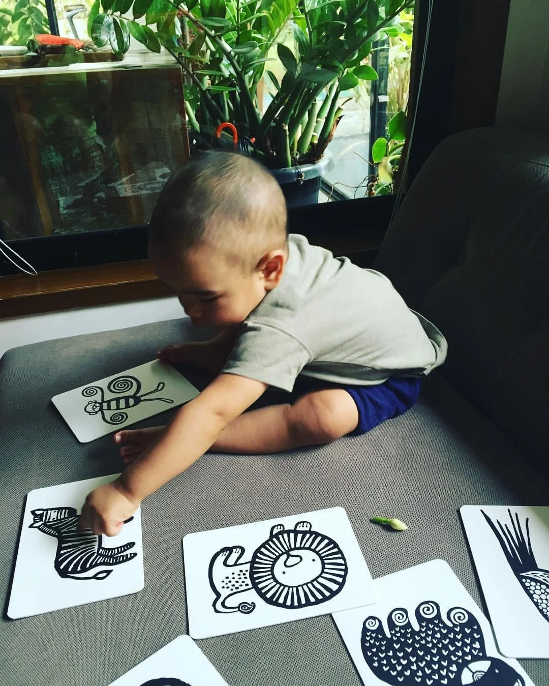 Wee Gallery Jungle Art Cards For Baby 6 Wee Gallery Jungle Art Cards For Baby - Image 4