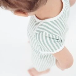 Tee & Shorts Set 15 Tee & Shorts Set -Baby Clothing Shop Organic cotton bamboo toddler tshirt sage 197 1x1 web b6b2ed5e baef 421c afef 87eb7d5c1d24