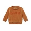 Velour Curious Slogan Sweater -Baby Clothing Shop Velour Curious Slogan Sweats hirt bran 01