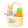 GUND Peter Rabbit 4-Piece Easter Basket -Baby Clothing Shop dkdfgpj36shrtnrrlegf 2048x 178bfba7 8ffa 4482 94e6 6264ed027035