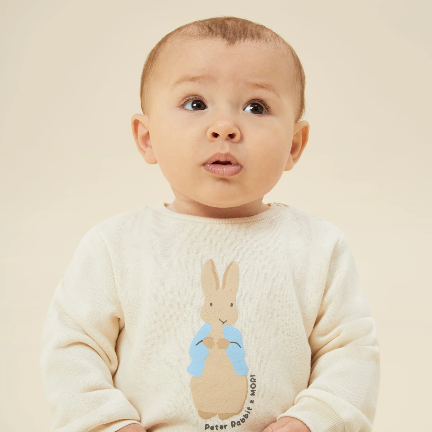 Peter Rabbit Sweater 3 Peter Rabbit Sweater